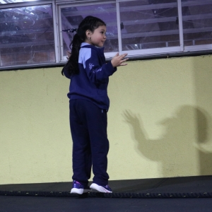 Día de la Actividad Física